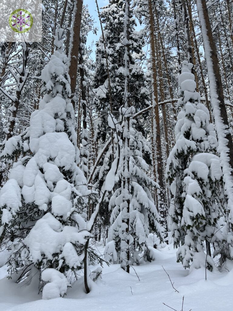 чекап здоровья