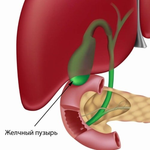 условия сохранения здоровья желчного