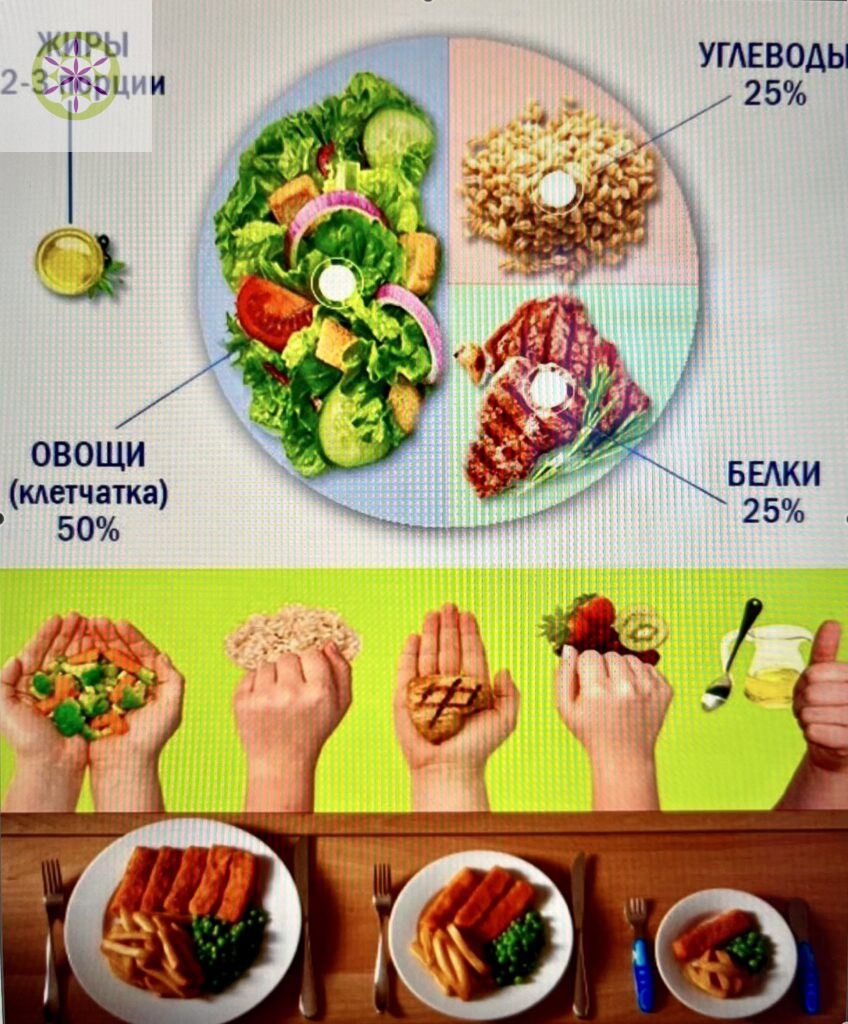 день здорового питания: правило руки, правило тарелки