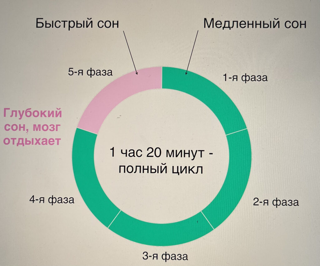 поддержка организма: сон