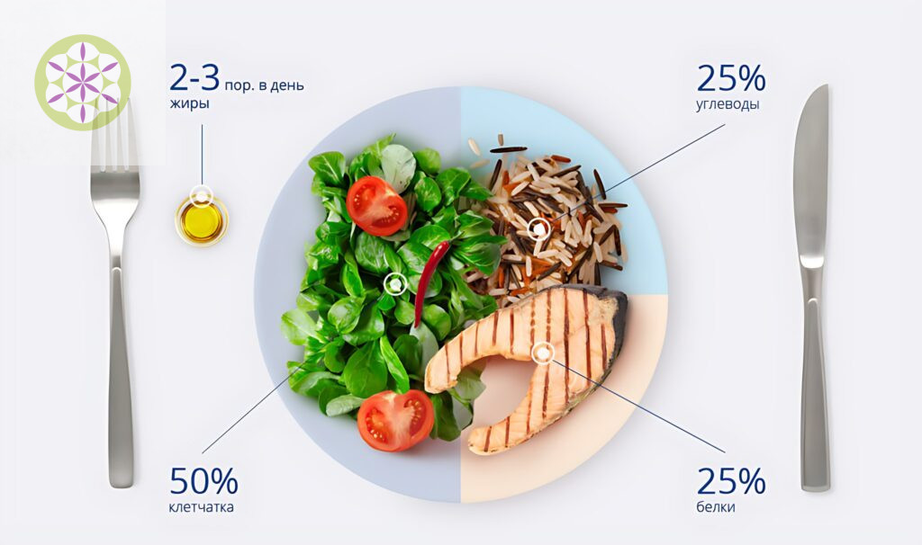 принцип тарелки здорового питания: пример.
