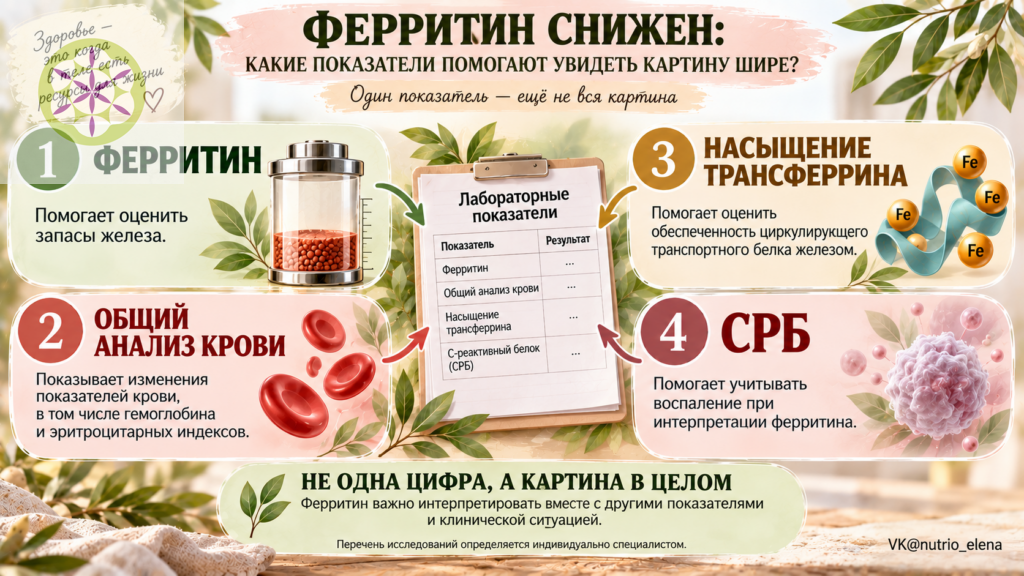 ферритин низкий, а гемоглобин в норме: основные показатели